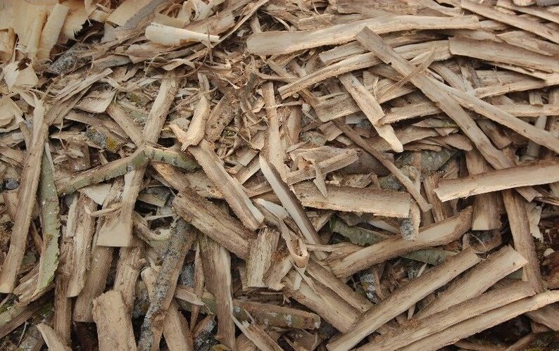 Aspen azala prostatitisarentzat