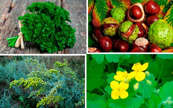 prostatitisaren tratamendurako belarrak